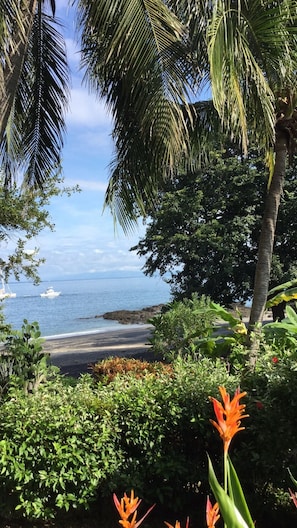 On the beach, sun loungers, beach towels - The ONLY Beachfront Studio Apartment with dipping pool on Playa Ocotal. (Ocotal Beach)