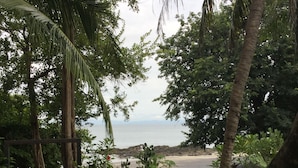 Blick durch einen Garten mit Palmen und einem Strand in der Ferne.