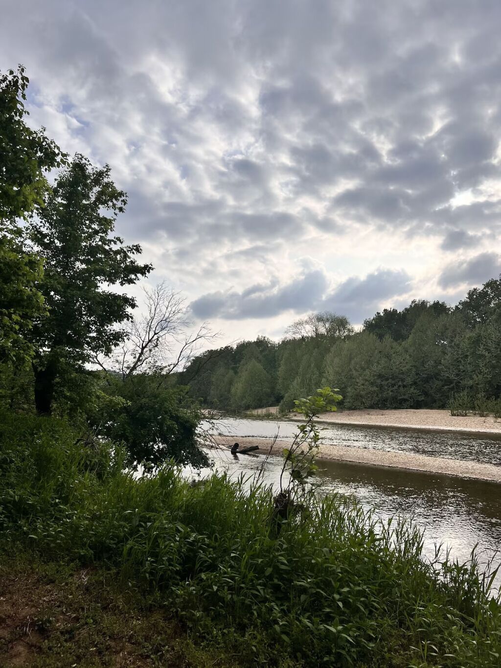 A riverbank with dense greenery and trees, a calm river, and a cloudy sky.