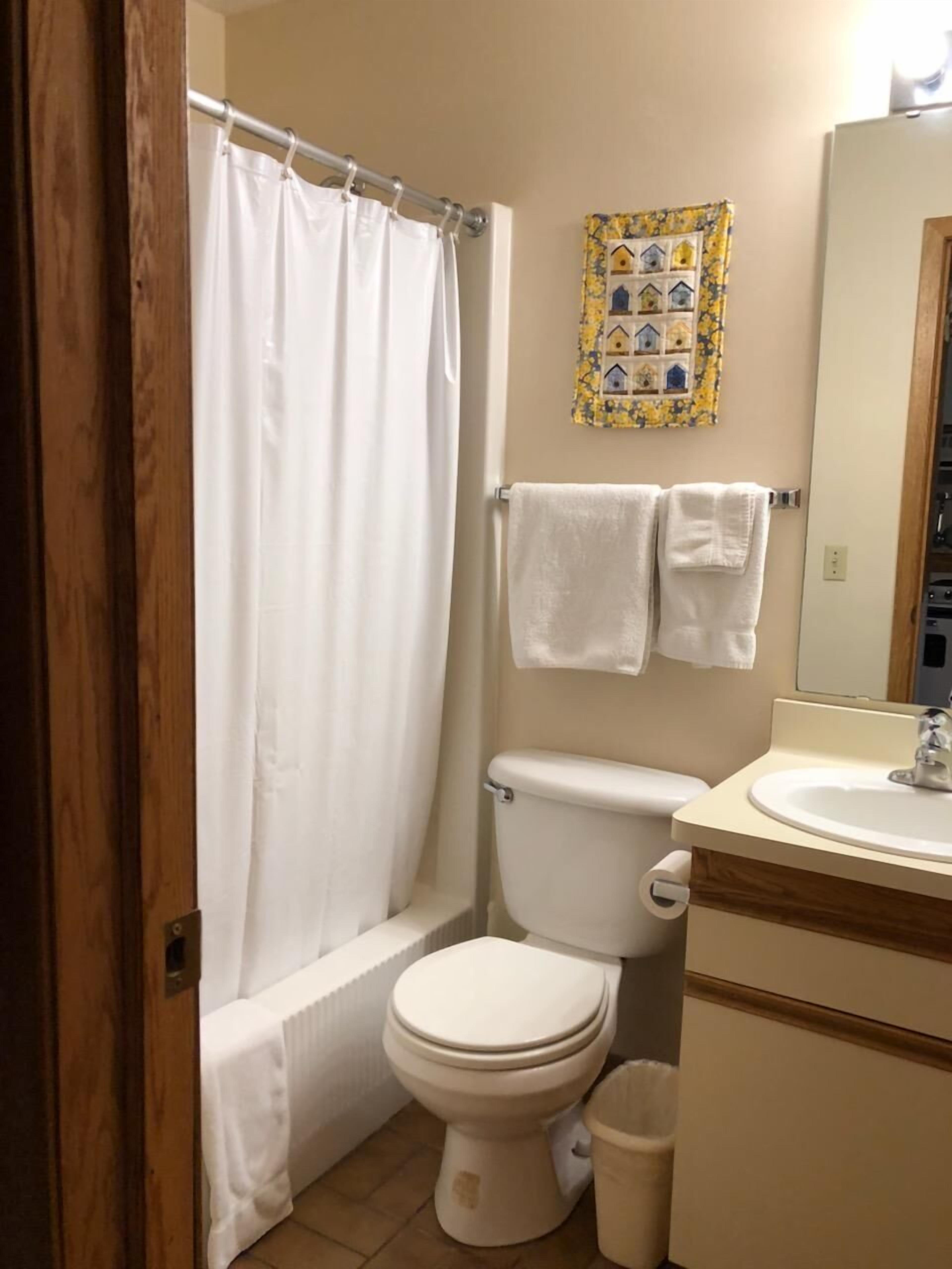 Combined shower/tub, towels, soap, shampoo