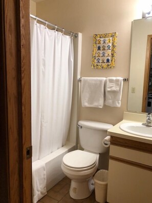 Combined shower/tub, towels, soap, shampoo - SKI-OUT & IN! Hike, bike, fish, golf, beautiful Lake Superior N Shore/Sleeps 2+ (Lutsen)