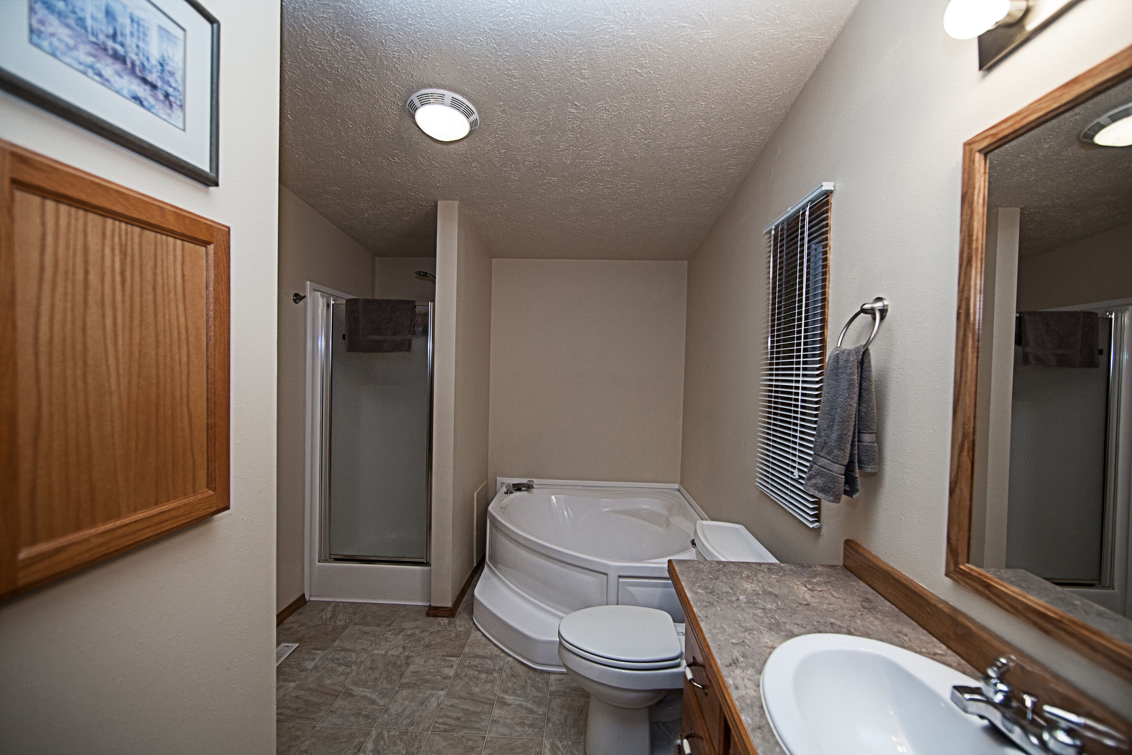 Combined shower/tub, towels, soap, shampoo