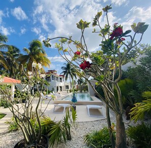 A pool area with lounge chairs, a building with a red roof, and tropical plants.