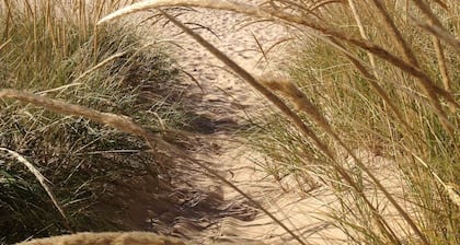 Bayfront King, Harbor View & Porch, Location, Location!