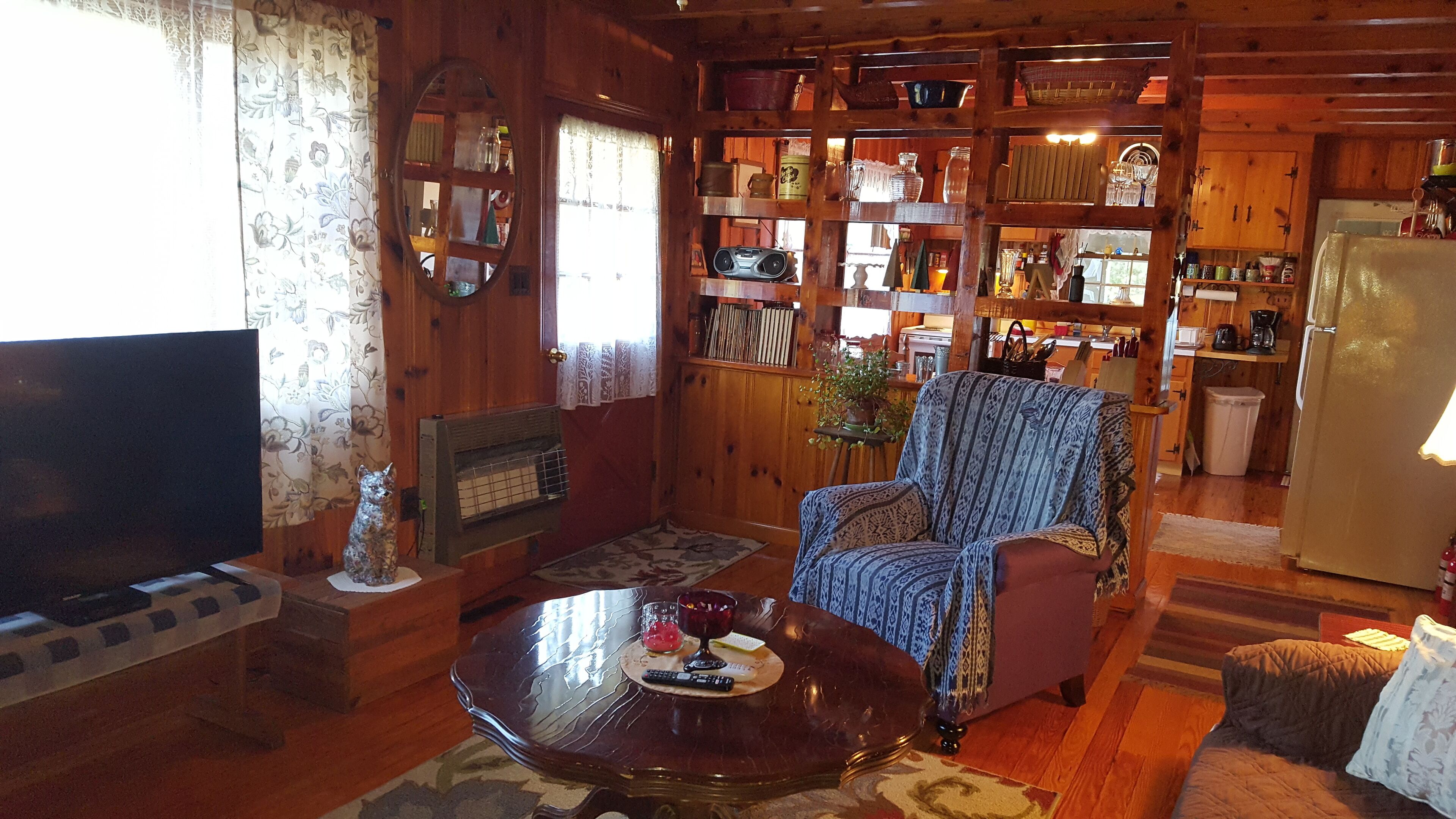 TV connectée, cheminée, livres