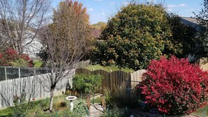 A backyard with a wooden fence, a small bridge, and various plants and trees. - Outstanding home, spacious, close to everything (Omaha)