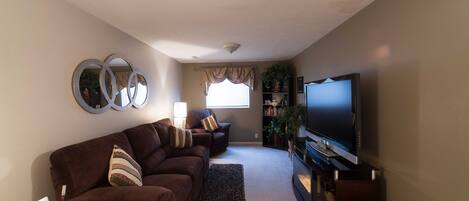 Smart TV, fireplace, DVD player, books