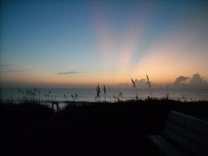 A bench overlooking a beach at sunset with silhouettes of grass and reeds in the foreground. - OCEANFRONT☆One level living w/ramp access to house & dune deck. Walk to dining! (Kitty Hawk)