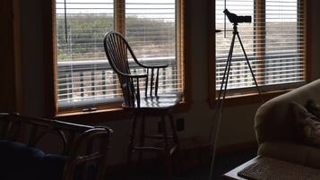 Smart-TV, DVD-Player, Bücher, Musikbibliothek