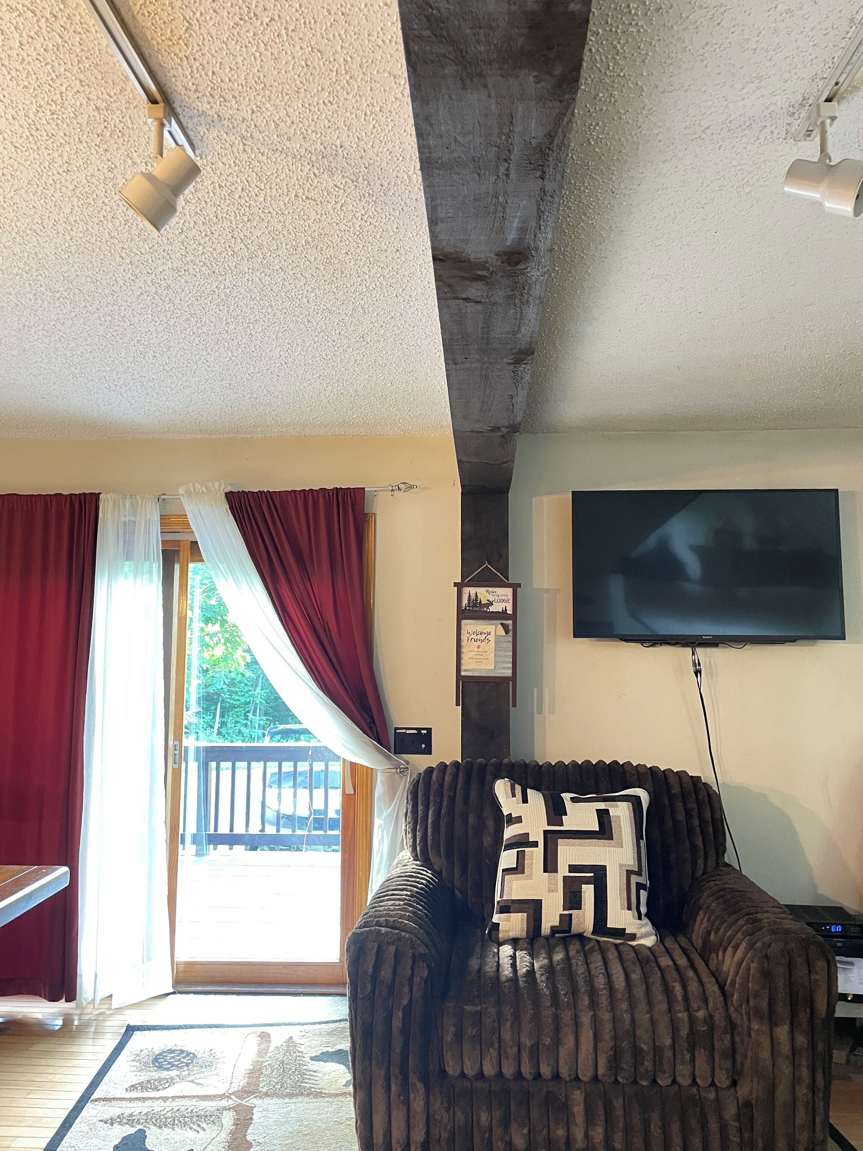 智能电视、壁炉、DVD 播放器、书