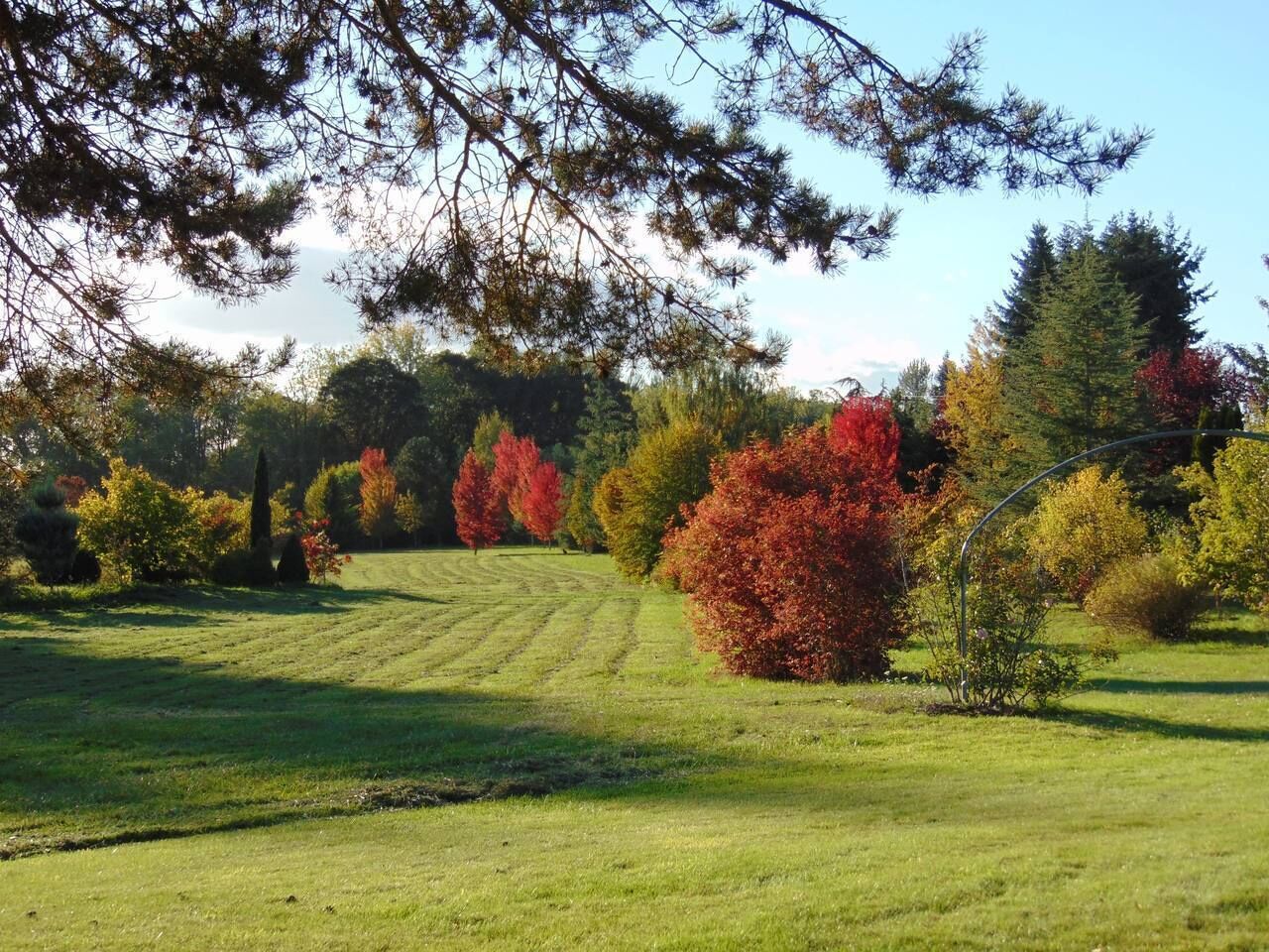 Un champ verdoyant bien entretenu, agrémenté de divers arbres, dont certains arborent un feuillage automnal.