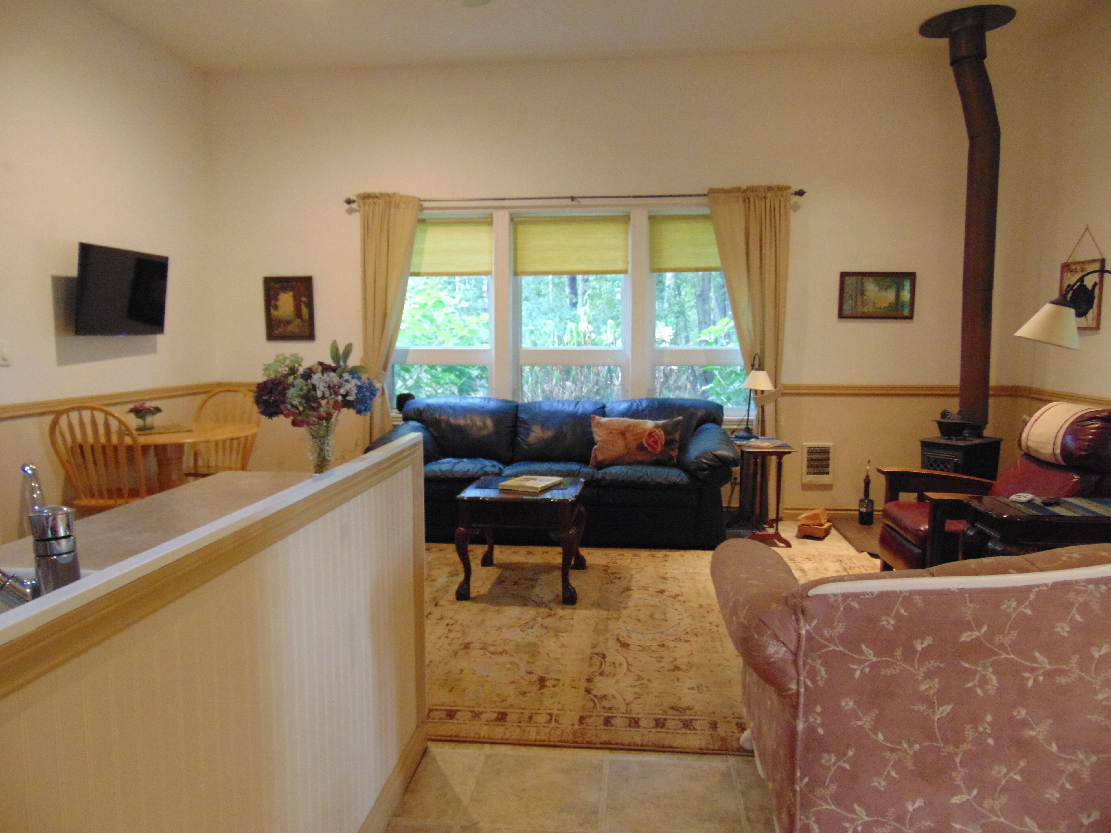 智能電視、書籍