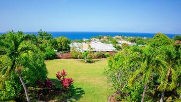 Un jardin luxuriant, avec des palmiers et une vue sur l’océan.