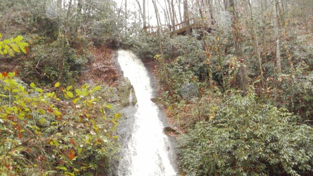 A waterfall in a forested area with dense foliage and rocky terrain.
