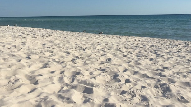 A sandy beach with a clear blue sky. - beautiful Home 98 steps from the beach just off Thomas drive (Panama City)