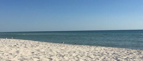 Sulla spiaggia