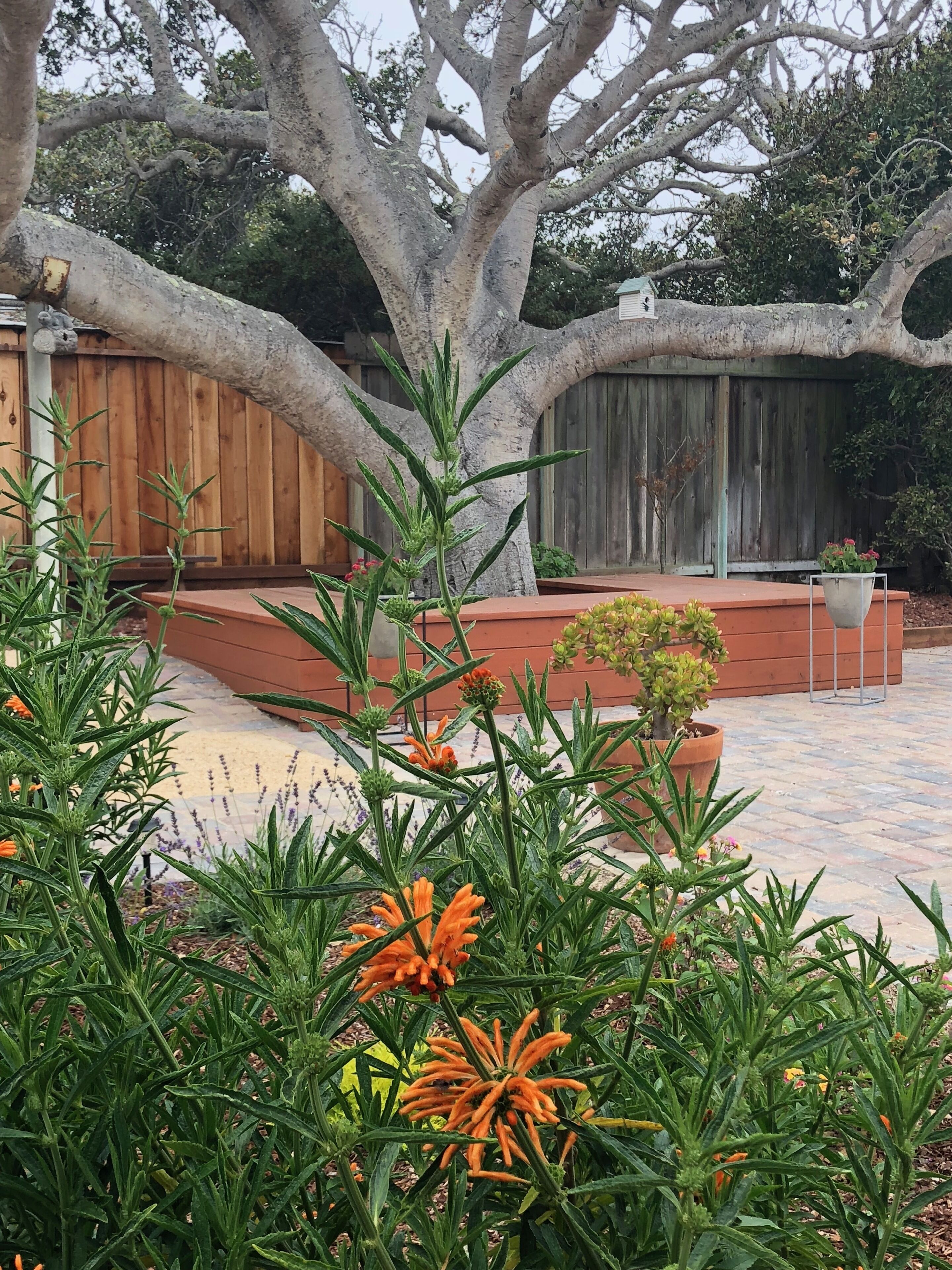 Parco della struttura