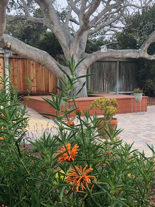 Overnattingsstedets uteområder