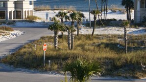 Eine Küstenstraße mit einem Stoppschild, Palmen und einem Strand im Hintergrund.