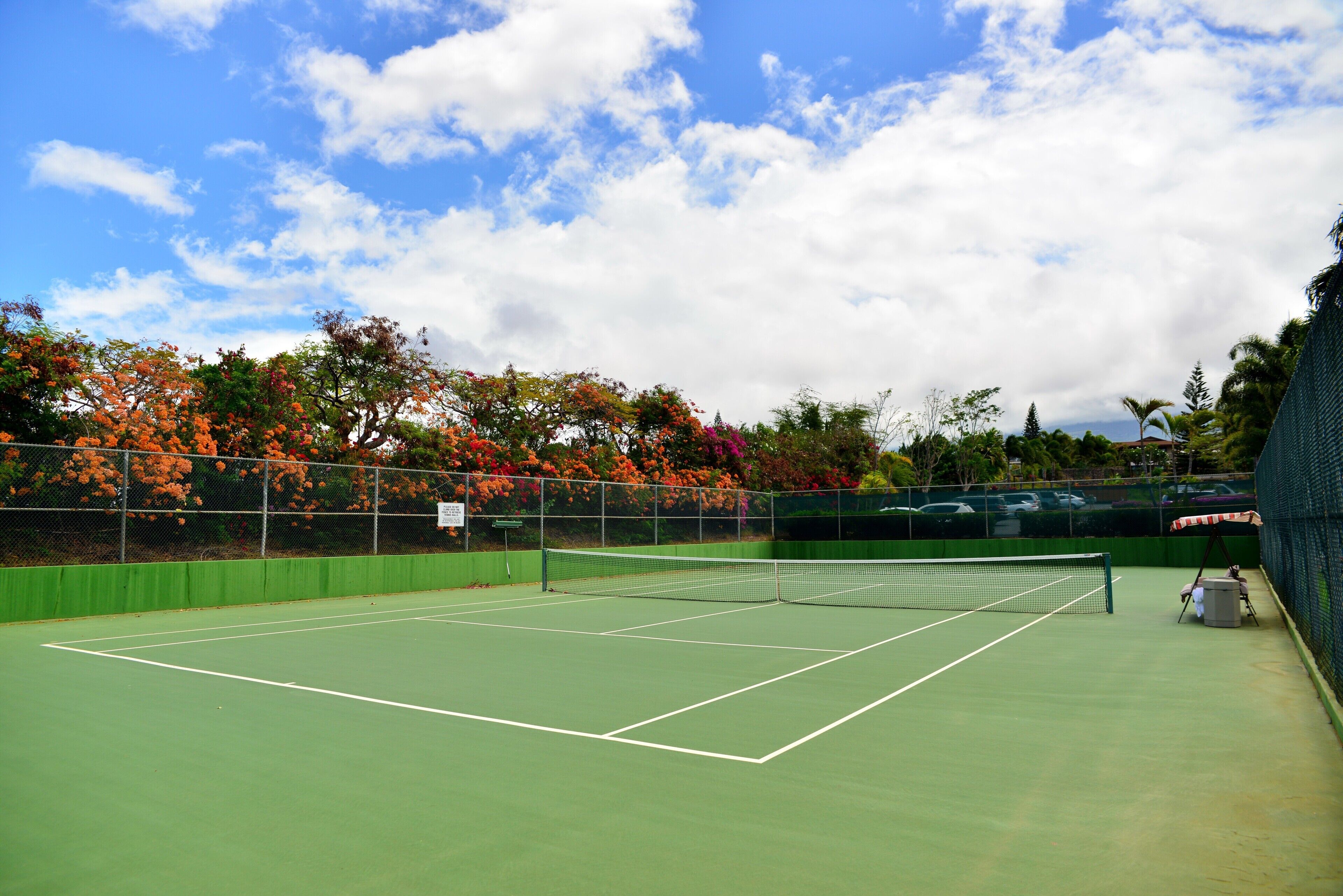 Een tennisbaan buiten met een groene ondergrond, omringd door een hek en bomen met oranje bladeren.