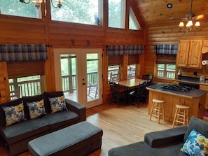 TV, fireplace, DVD player - Private Mountain Hideaway (Andrews)