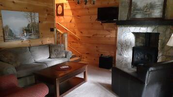 Una televisión, una chimenea, un reproductor de DVD