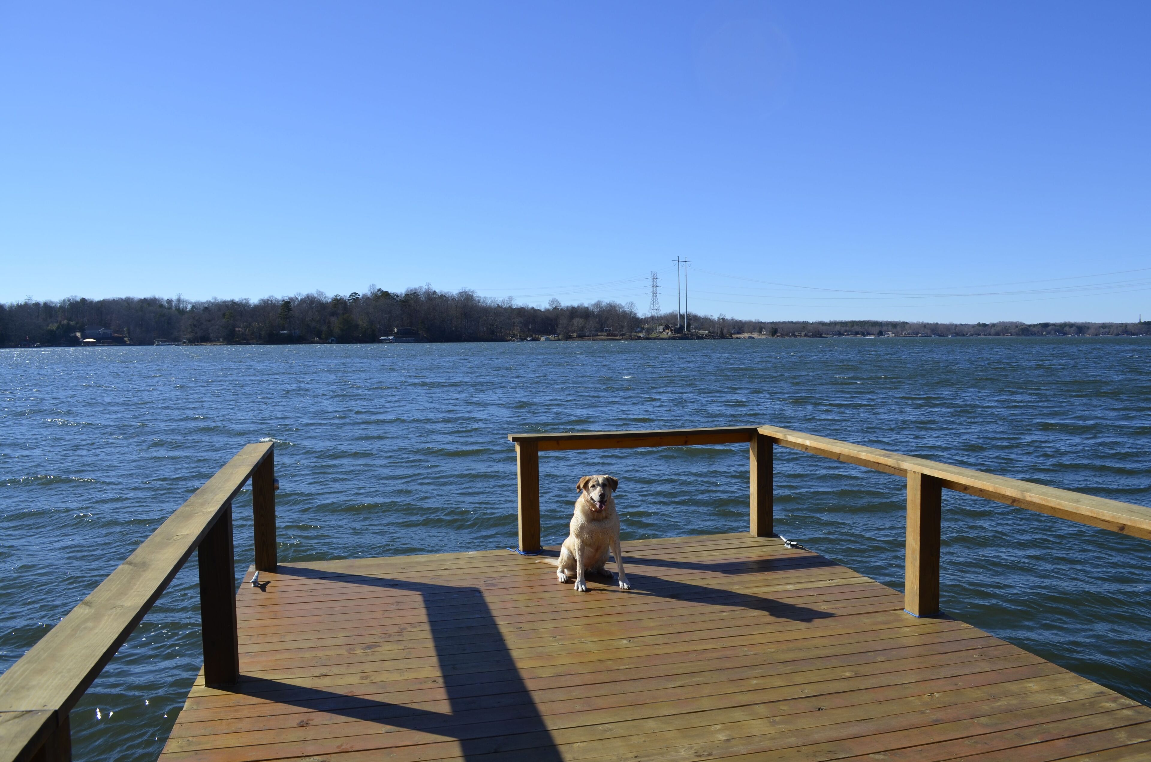 A wooden dock extending into a body of water with a dog sitting on it.