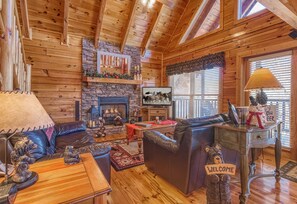 Smart TV, fireplace, DVD player, video library