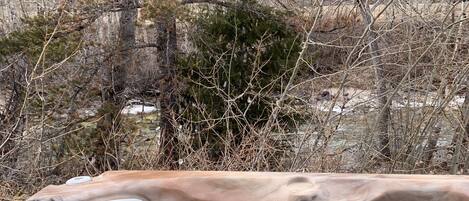 A hot tub with a control panel, surrounded by dry, leafless trees and a rocky hillside.
