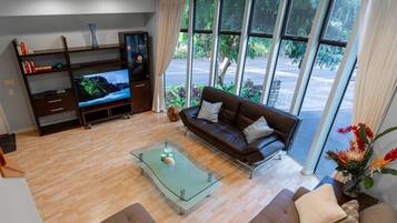 Smart TV, reproductor de DVD y libros