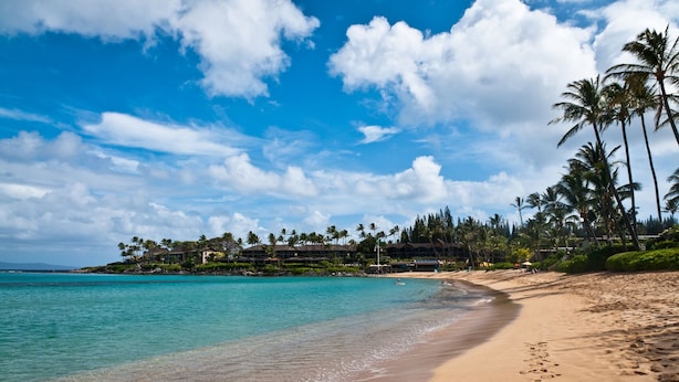 A beach with clear turquoise water, a sandy shore, and a resort with multiple buildings and palm trees in the background.