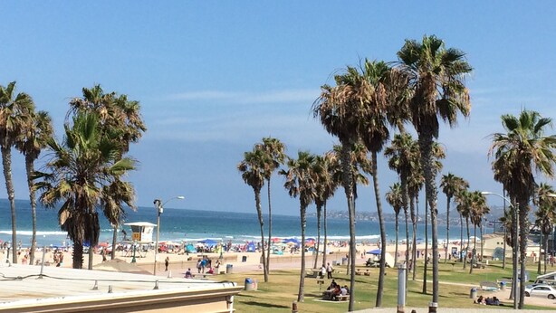 Ein Strand mit Palmen, sandigem Ufer und blauem Himmel.