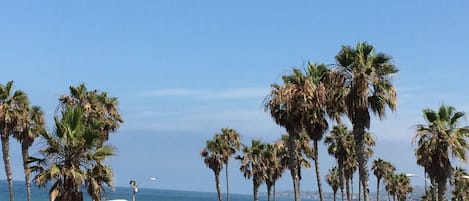 Strand | Strandtücher