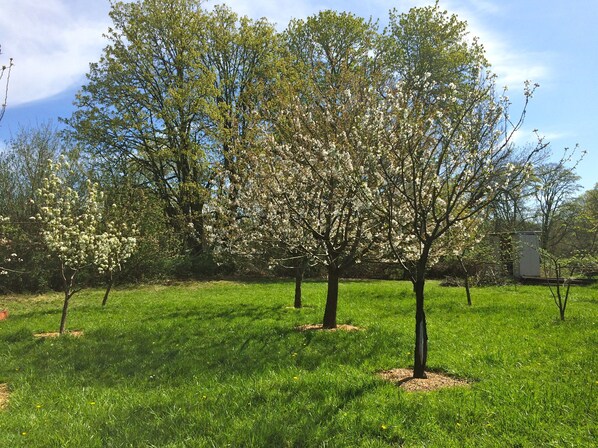 Enceinte de lâhĂ©bergement