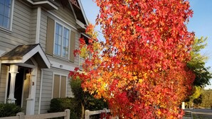 A residential house with a well-maintained front yard, a wooden fence, and a tree with autumn foliage. - Suite 16th - Old time charm, Free WiFi, Cable, Downtown (Paso Robles)