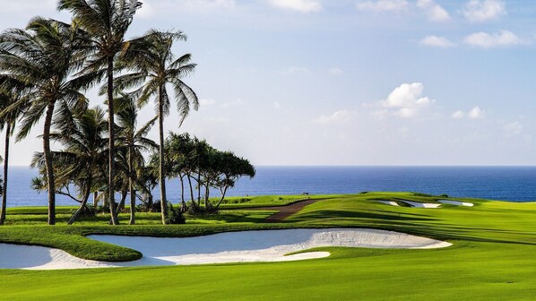 A golf course with a clear view of the ocean, surrounded by palm trees and well-maintained green grass. - Oceanfront Luxury Top-Floor Unit Stay—Stunning Views, See Dolphins swim by! (Waikoloa Village)