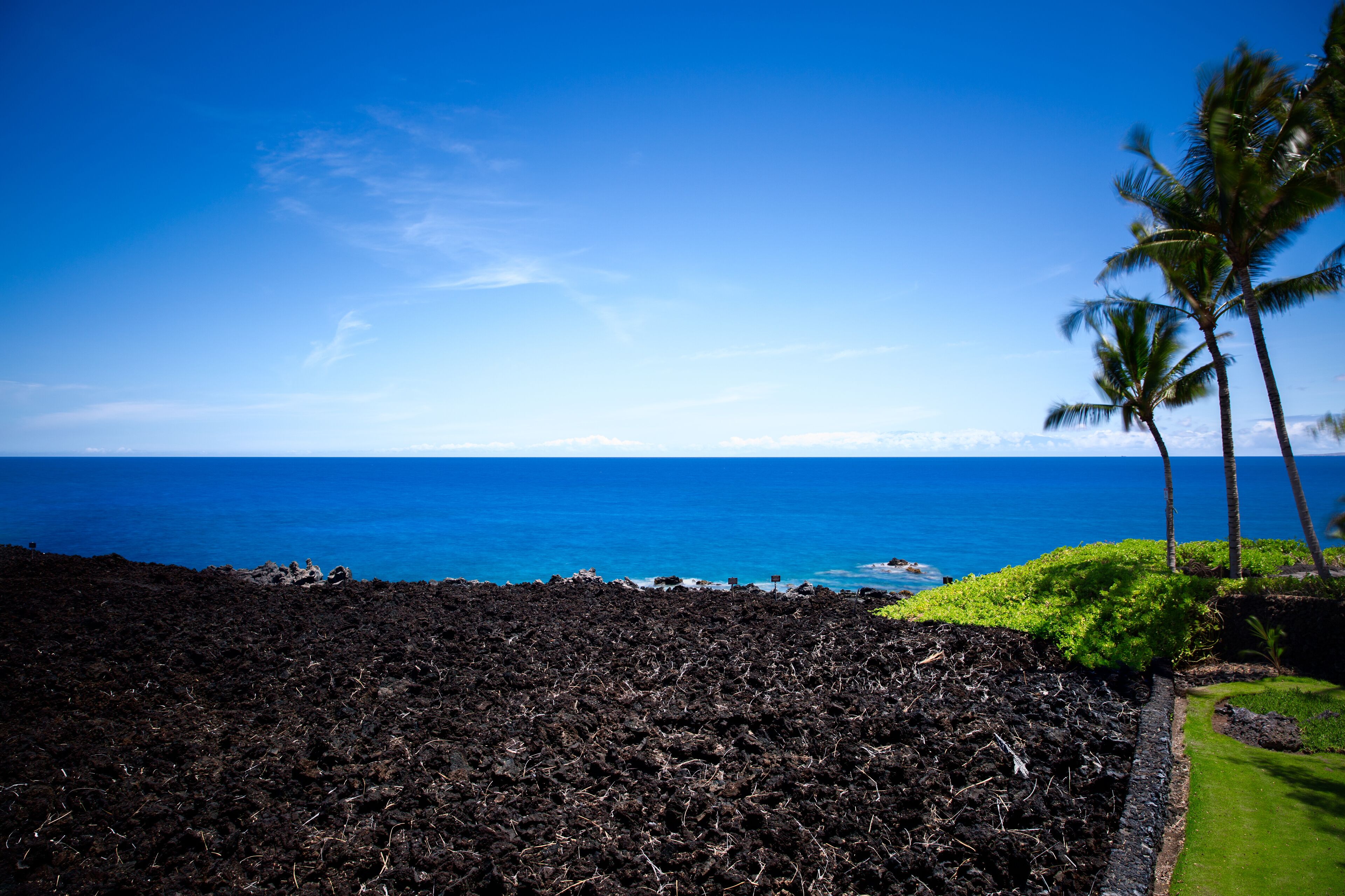 Un paysage volcanique offrant une vue sur l’océan et des palmiers.