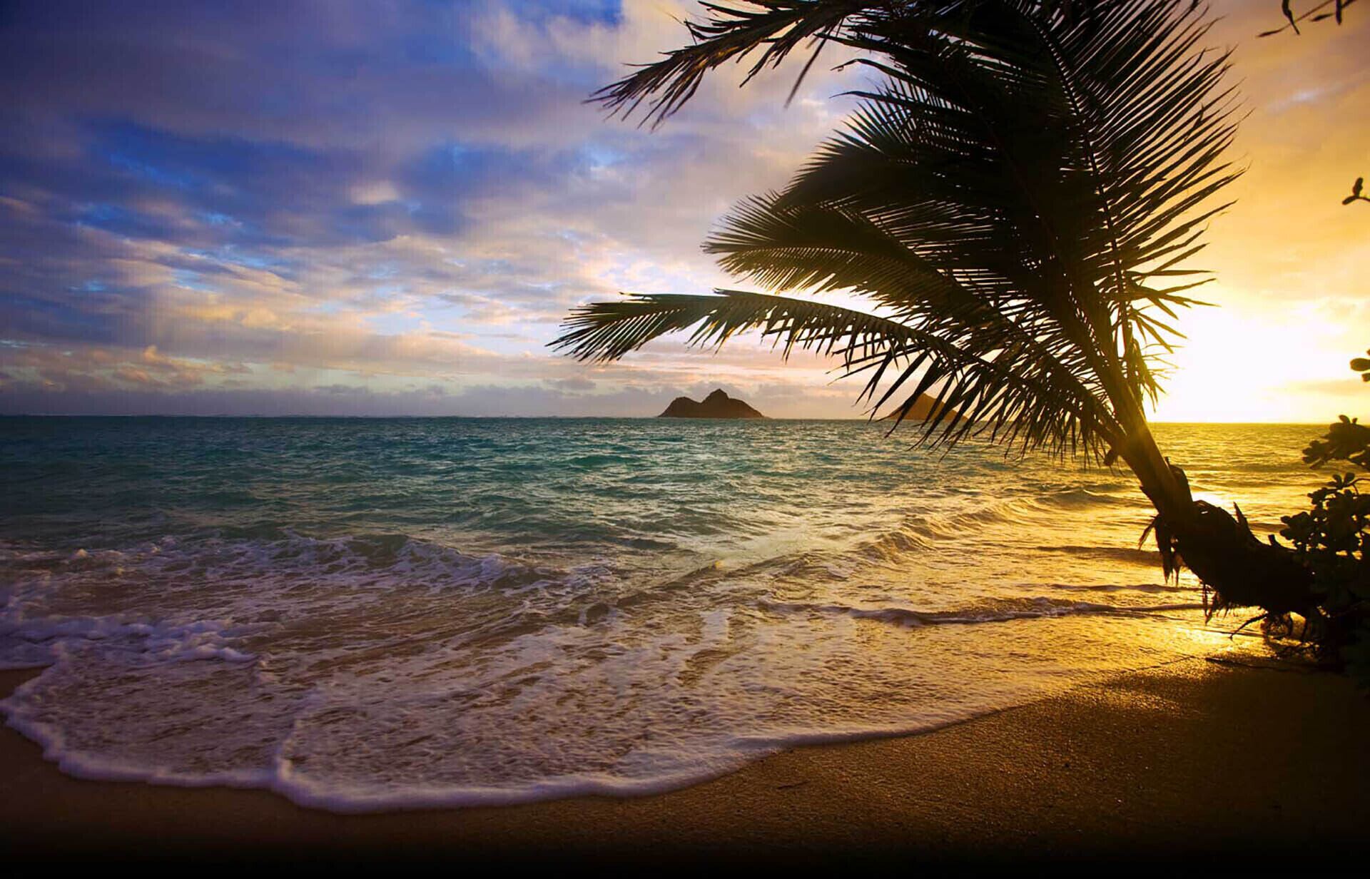 Sun-loungers, beach towels