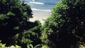 A beach with clear blue water and a sandy shore, surrounded by dense green foliage.