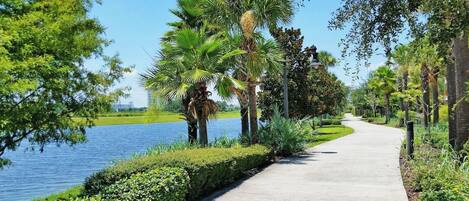 A paved pathway alongside a body of water with palm trees and greenery.