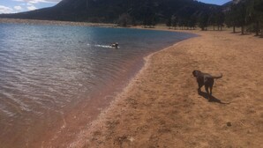 A beach with a dog walking along the shore, a mountain in the background, and a clear sky. - Great Location in Cheyenne Cañyon, 3Bd, 1.5Bath, Private fenced yard and deck! (Colorado Springs)