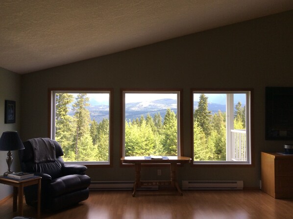 Smart TV, DVD player, books, video library