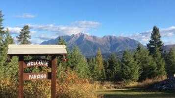 المنطقة المحيطة بالمنشأة