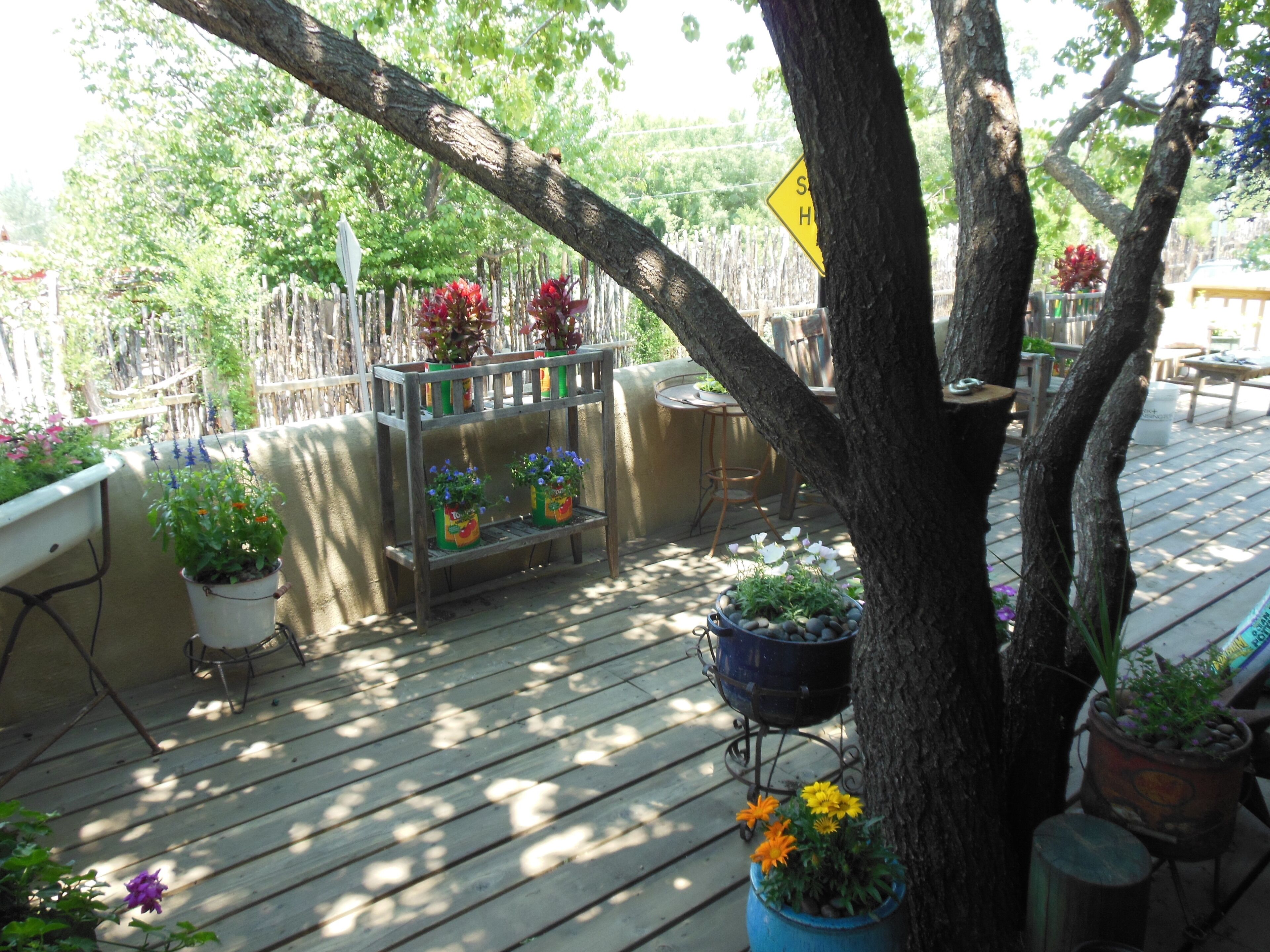 A wooden deck with potted plants and a metal barbecue grill.
