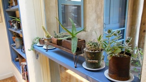 A shelf with various potted plants and a metal tray. - Casa Madre 3 bedroom/2 baths (Taos)