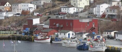 Un puerto con barcos amarrados, rodeado de edificios residenciales.