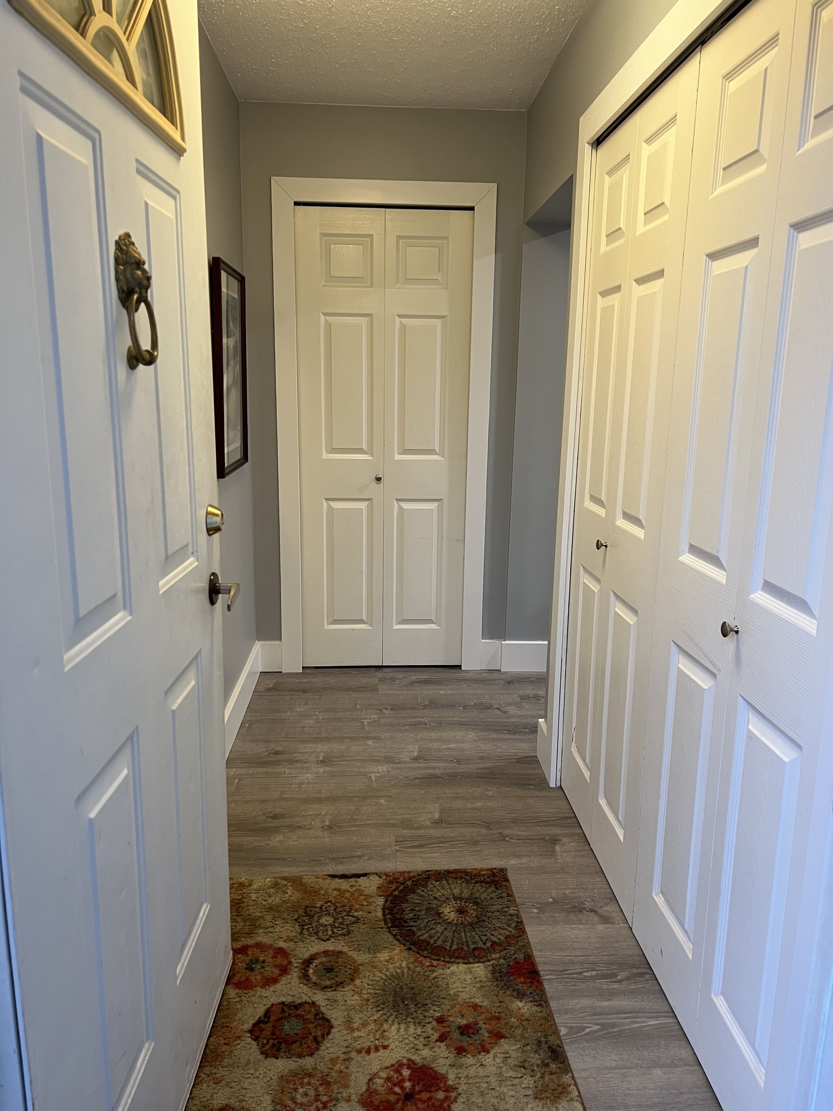 Un couloir avec deux portes blanches, un tapis à motifs et un tableau encadré accroché au mur.