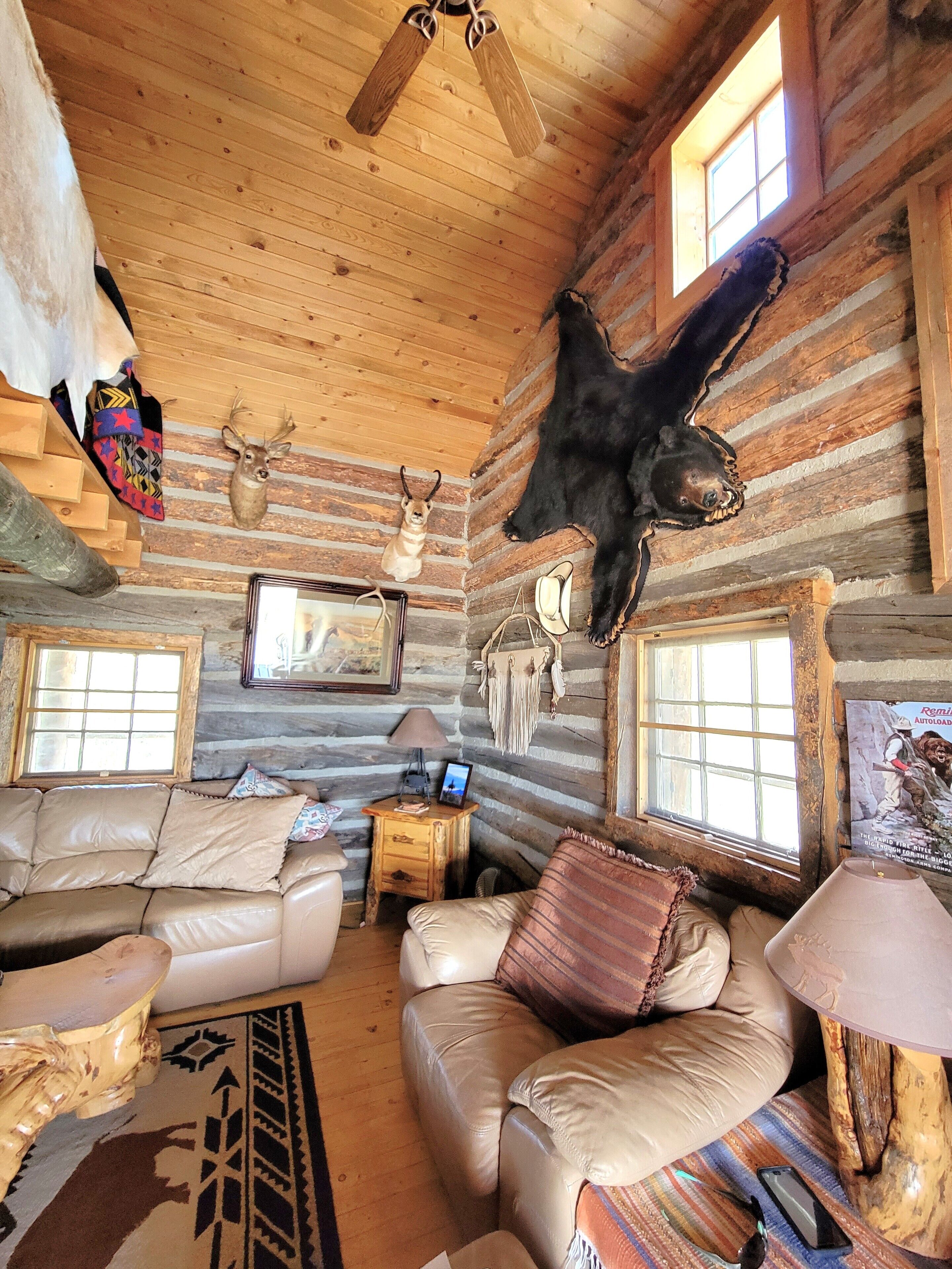 Smart TV, fireplace, DVD player, books