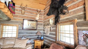 TV connectée, cheminée, lecteur de DVD, livres