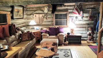 Smart TV, fireplace, DVD player, books